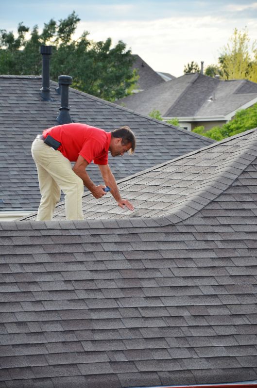 Specialized Roofing Experts